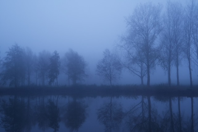 The Divide of Light and Shadow