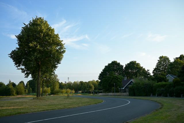 Evening Walk in Summer