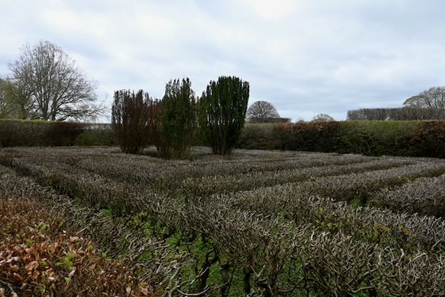 Egeskov Castle Park Maze